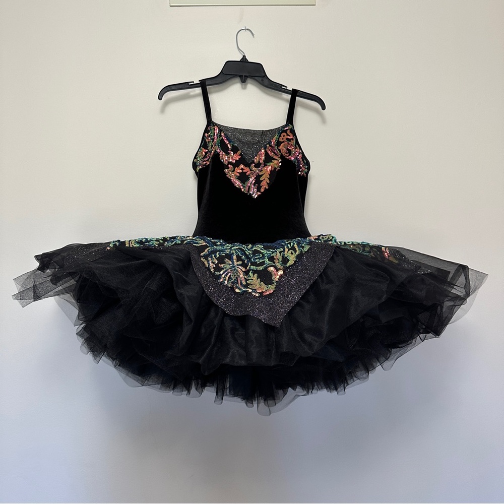 Black Swan Ballet Theatre Tutu Dress